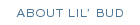 About Lil' Bud