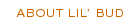 About Lil' Bud